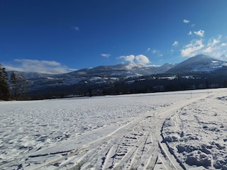 Chalet Lärchforst, Ausblick im Winter 1