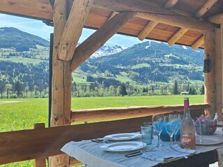 Chalet Lärchforst, Gartenhütte