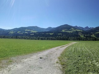 Chalet Lärchforst, Ausblick im Sommer 1