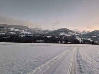 Chalet Lärchforst, Ausblick im Winter 4