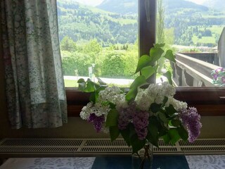 Ferienapartment AICH - Aussicht vom Essbereich