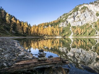 Ahornsee 008 © Gerhard Pilz (2019)