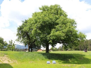 20200714144239_IMG_8497