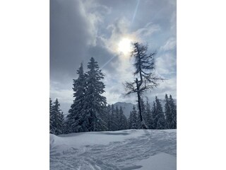 Ferienwohnung_Maria_Wintergenuss