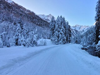 Weg zum steirischen Bodensee