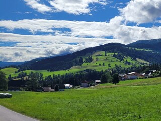 Südblick: Pleschnitzzinken