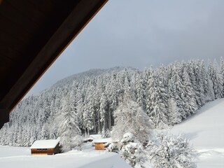 Aussicht Appartement E