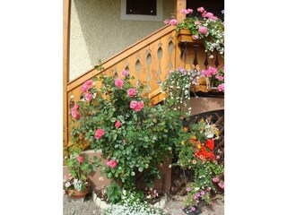 Ferienwohnung Klinglhuber - Blumenpracht