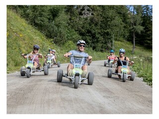 MountainGokart auf der Hochwurzen