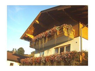 Appartementumbau 2010 Bilder 095