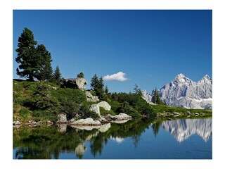 Sommerurlaub Kollerhof