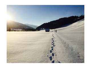 Gästehaus Erika - Winterlandschaft