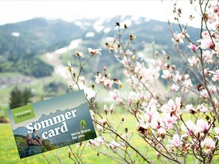 Gaestehaus-Erika-Gartenlodge-Hauser-Kaibling-myNes