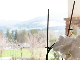 Gaestehaus-Erika-Gartenlodge-Hauser-Kaibling-myNes