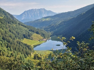Blick auf den Bodensee
