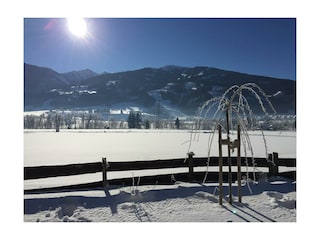 Gästehaus Erika - Ausblick Winter
