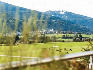 Gästehaus Erika - Penthouse Hauser Kaibling