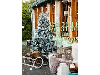 Tiny Christmas House