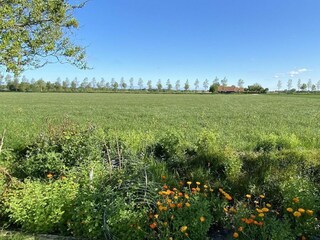 Casa de vacaciones Vrouwenpolder Grabación al aire libre 16