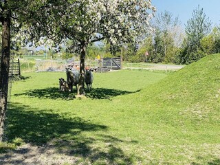 Villa Zoutelande Environment 21