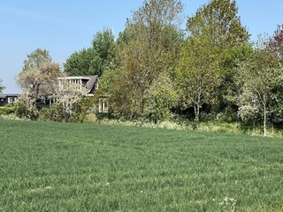 Villa Kamperland  13