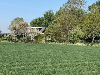 Ferienhaus Kamperland Außenaufnahme 20