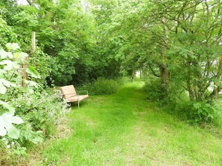 Ferienhaus Kamperland Außenaufnahme 21