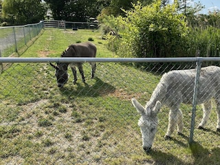 Chalet Walsoorden Außenaufnahme 31
