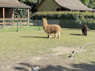 Chalet Walsoorden Außenaufnahme 21