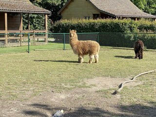 Chalet Walsoorden Registrazione all'aperto 21