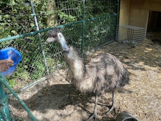 Chalet Walsoorden Outdoor Recording 25