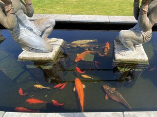 Ferienhaus Renesse Außenaufnahme 13