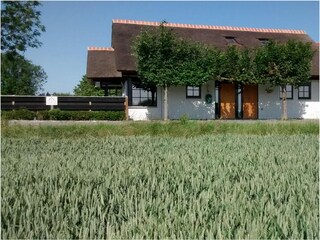 Vakantiehuis Cadzand-Bad Buitenaudio-opname 1