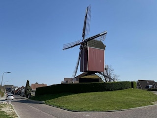 Chalet Sint-Annaland Outdoor Recording 30