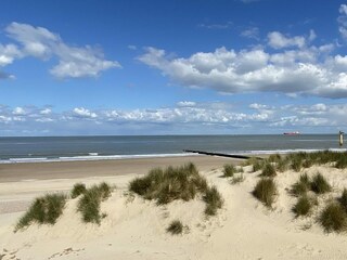 Casa per le vacanze Cadzand-Bad Registrazione all'aperto 16
