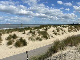 Casa per le vacanze Cadzand-Bad Registrazione all'aperto 17