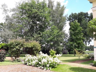 Genießen Sie den Park