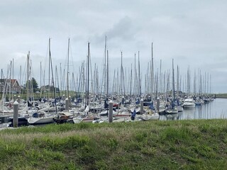 Ferienhaus Wemeldinge Außenaufnahme 8