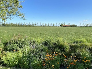 Holiday house Vrouwenpolder Outdoor Recording 13