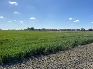 Ferienhaus Vrouwenpolder Außenaufnahme 18
