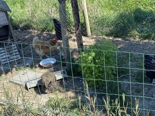 Casa de vacaciones Vrouwenpolder Grabación al aire libre 24