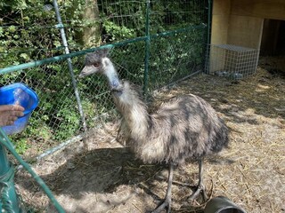 Chalet Walsoorden Außenaufnahme 17