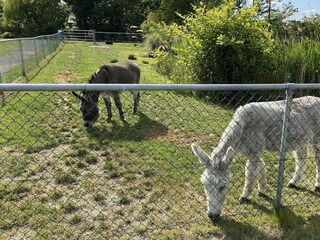 Chalet Walsoorden Buitenaudio-opname 24