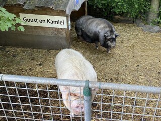 Chalet Walsoorden Außenaufnahme 25