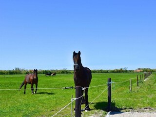 Ferienhaus Aagtekerke Außenaufnahme 11