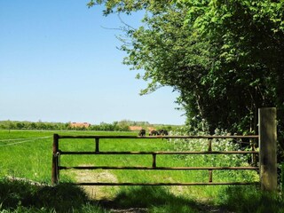 Vakantiehuis Aagtekerke Buitenaudio-opname 12
