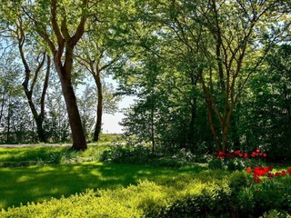 Casa per le vacanze Aagtekerke Registrazione all'aperto 14