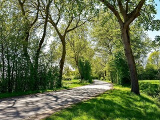 Vakantiehuis Aagtekerke Buitenaudio-opname 15