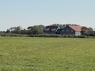 Ferienhaus Serooskerke Außenaufnahme 21
