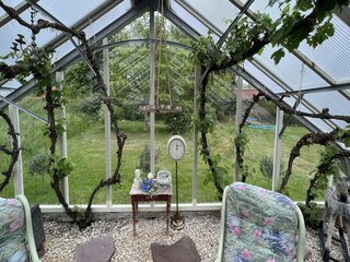 Villa Ouddorp Buitenaudio-opname 6